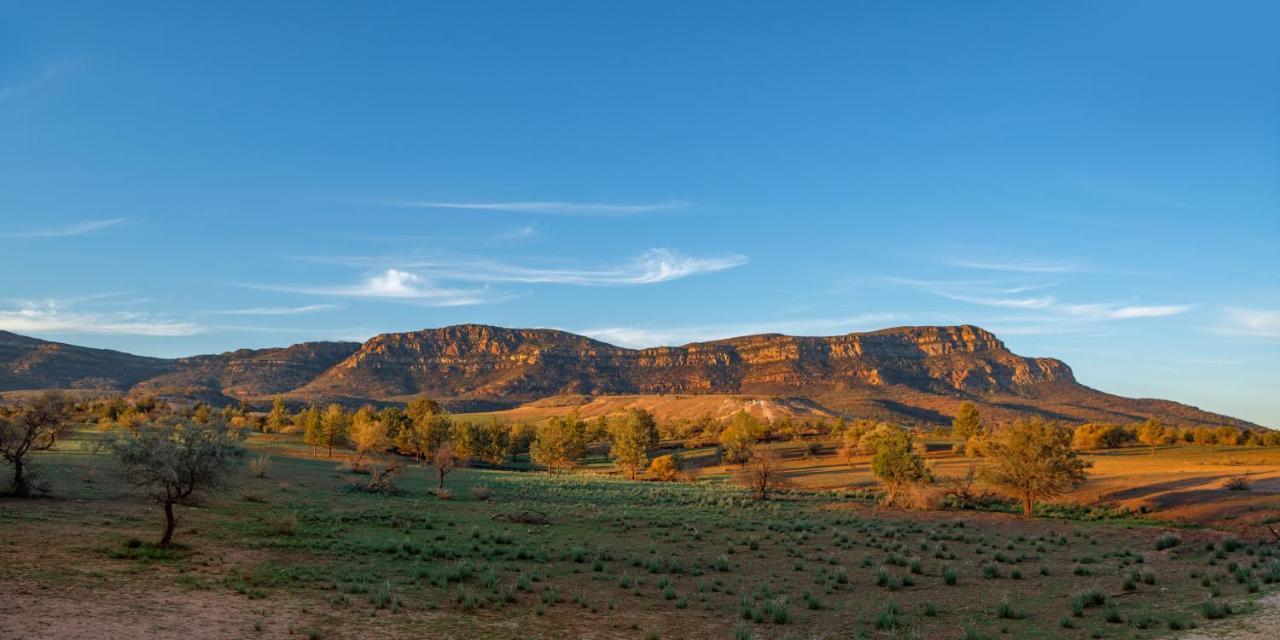فندق Rawnsley Park Station Flinders Ranges المظهر الخارجي الصورة