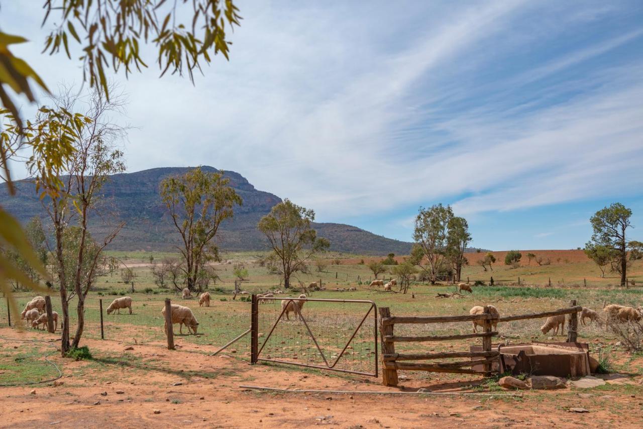 فندق Rawnsley Park Station Flinders Ranges المظهر الخارجي الصورة