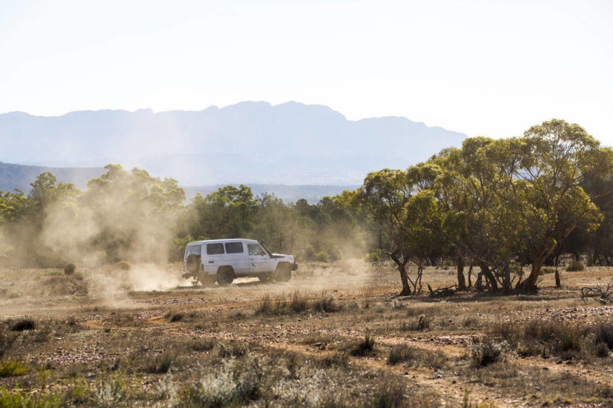 فندق Rawnsley Park Station Flinders Ranges المظهر الخارجي الصورة
